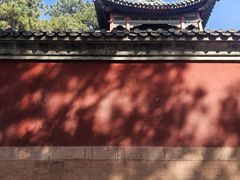 -磬锤峰森林公园