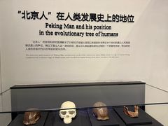 -北京周口店北京人遗址博物馆