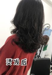-施华蔻美发连锁