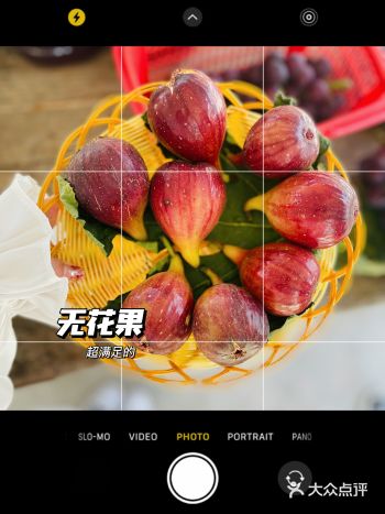 今天20度的无花果，超甜