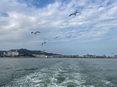 -刘公岛景区