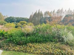 -昆山城市生态森林公园