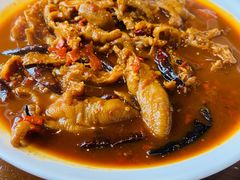 -红辣椒八爪鱼特色韩国料理