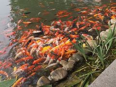-国恩寺
