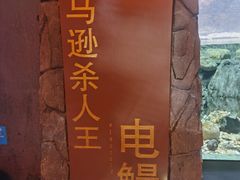 -成都浩海立方海洋公园