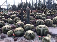 -南通洲际绿博园