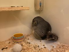 -龙猫仔乐园(惠福东路店)