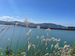 -江南天池