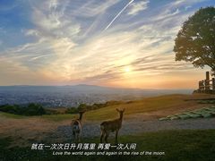 -奈良公园