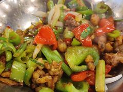 -凤齐羊肉烩面馆