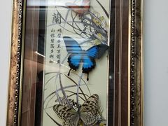 -上海大自然野生昆虫馆(东方明珠·爬宠昆虫探索中心)