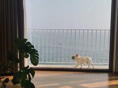 -石老人观光园