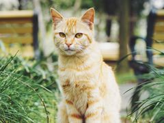 -苏州河梦清园环保主题公园