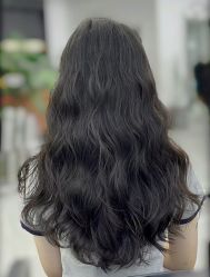 -环球蝶上美业连锁