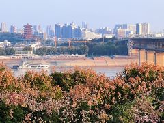 -龟山风景区-龟山电视塔