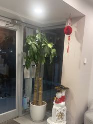 -如一·美甲美睫