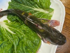 -亮欢寨(凯里总店)