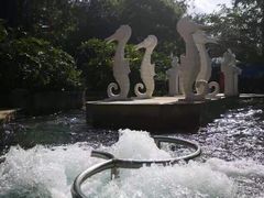 -江门古兜温泉小镇
