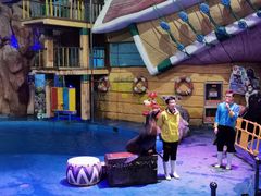 -烟台海昌鲸鲨海洋公园