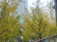 -柴门饭儿(成都太古里店)