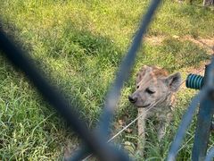 -大连森林动物园