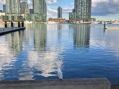 -墨尔本滨海港区