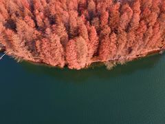 -东湖落雁景区