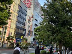 -秋叶原电器街