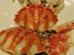 -潮江春(铜锣湾广场店)
