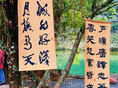 -靖西鹅泉风景区