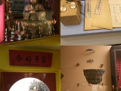 -美国自然历史博物馆