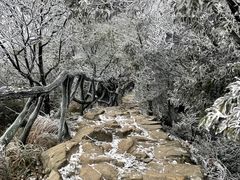 -梧桐山风景名胜区