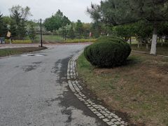 -莫子山公园