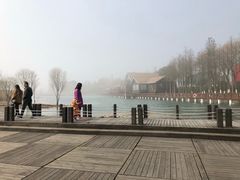 -太湖湖滨国家湿地公园-停车场