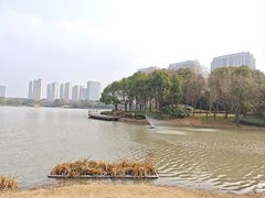 -南翔镇银翔湖公园