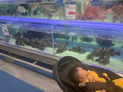 -盒马X会员店(上海森兰商都店)