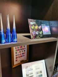 -恐龙·美甲美睫