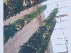 -顶层酒吧ROOF(上海艾迪逊酒店)