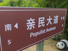 -亚龙湾国际玫瑰谷
