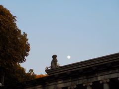 -蠡湖中央公园
