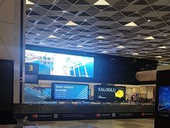 -盖达尔·阿利耶夫国际机场