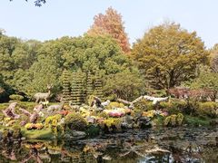 -杭州植物园