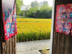 -溱湖国家湿地公园