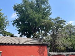 -泰山风景名胜区