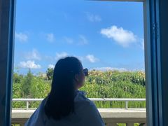 -东极岛景区