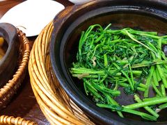 -熠盛粤味·顺德桑拿鸡(永康路店)