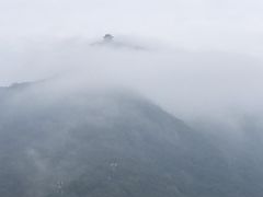 -黄贤森林公园