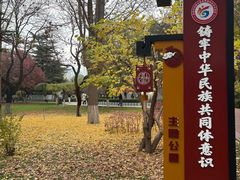 -金城公园