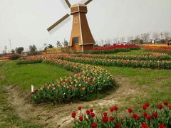 -金卉庄园
