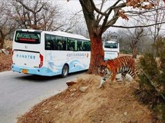 -西安秦岭野生动物园
